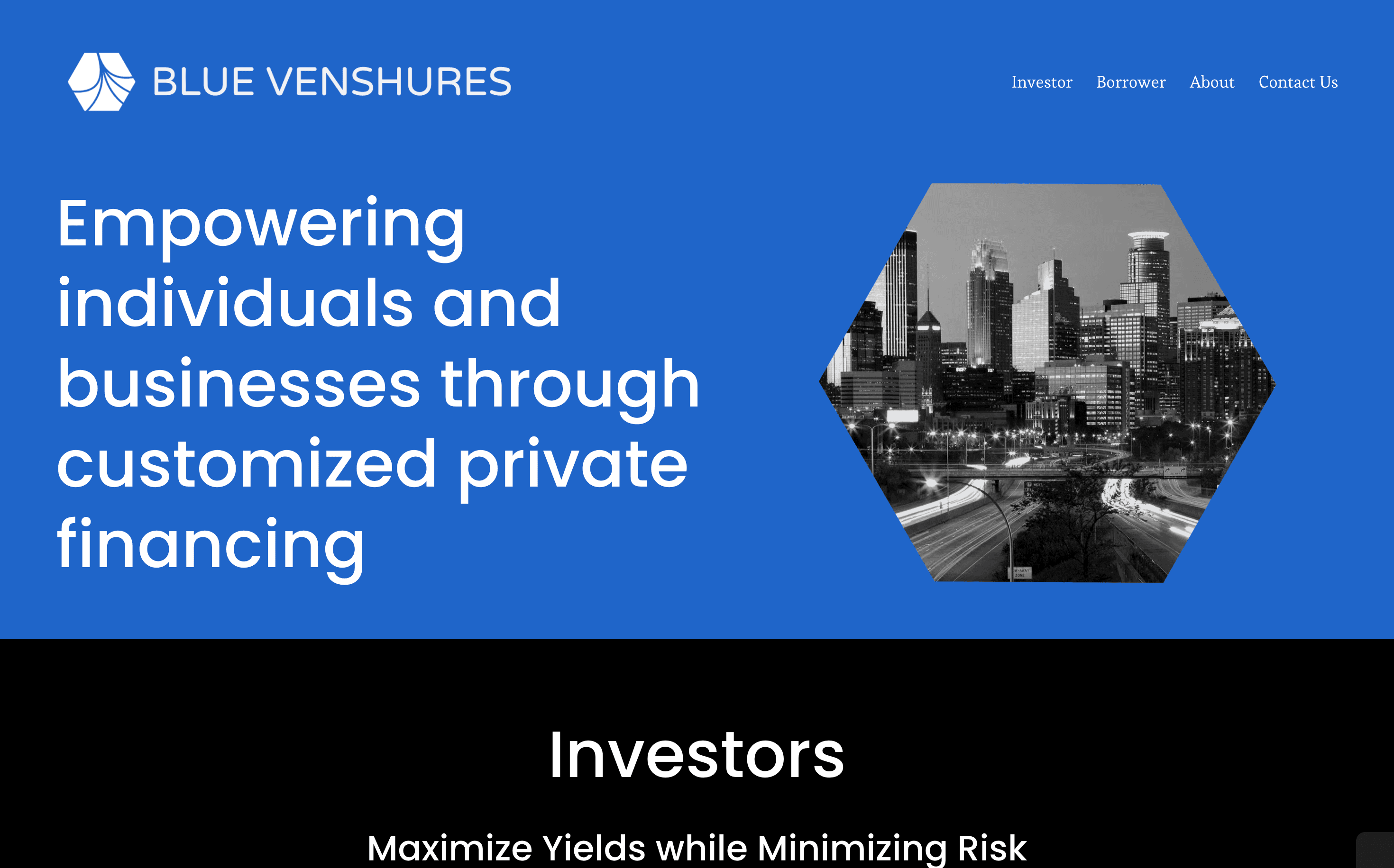 Blue Ventures Results
